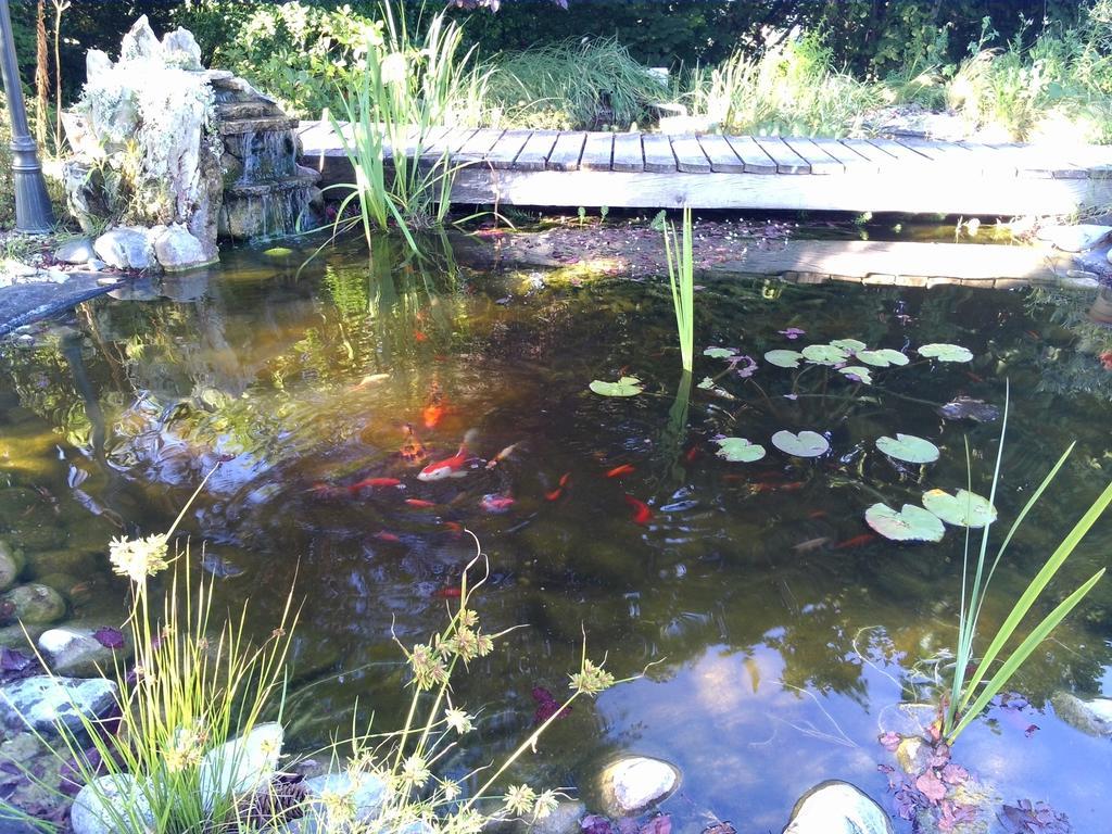 Le Bassin Du Tertre Fronsac (Gironde) Exterior foto